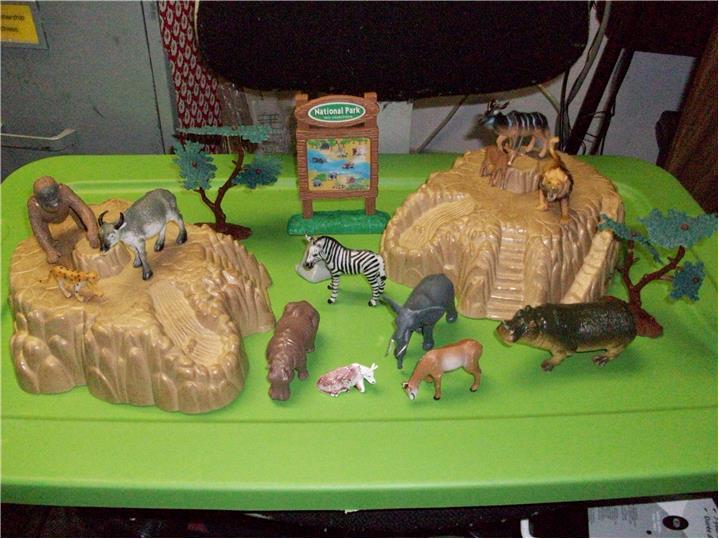 Jungle Fun Crossing