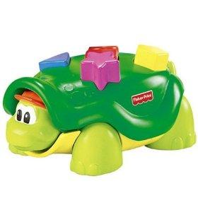Tappy the Turtle